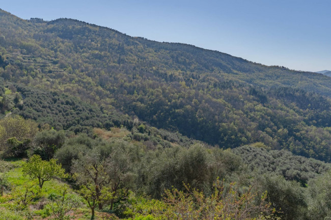 Casa singola in vendita a Aquila d'Arroscia