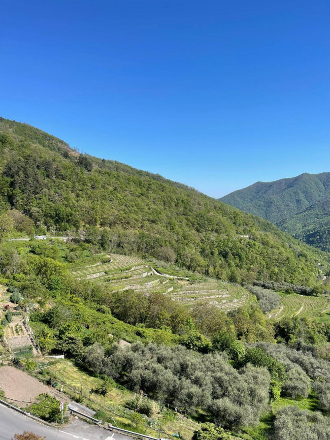 Casa singola in vendita a Pornassio