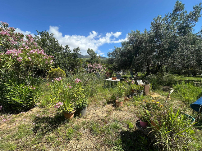 Terreno Agricolo in vendita a Albenga