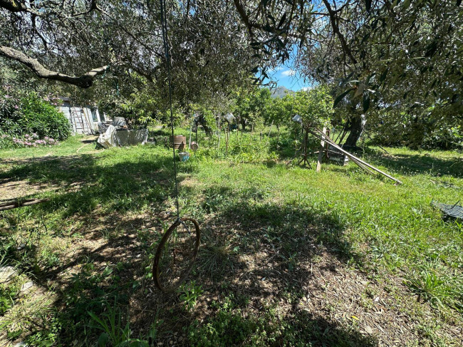 Terreno Agricolo in vendita a Albenga