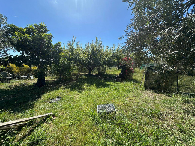 Terreno Agricolo in vendita a Albenga