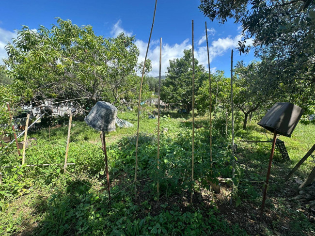 Terreno Agricolo in vendita a Albenga
