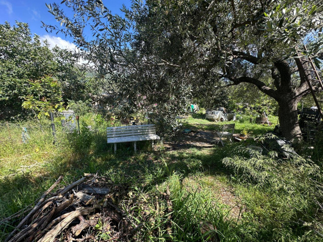 Terreno Agricolo in vendita a Albenga