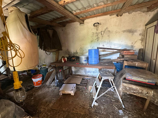 Terreno Agricolo in vendita a Albenga