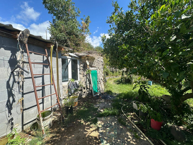 Terreno Agricolo in vendita a Albenga