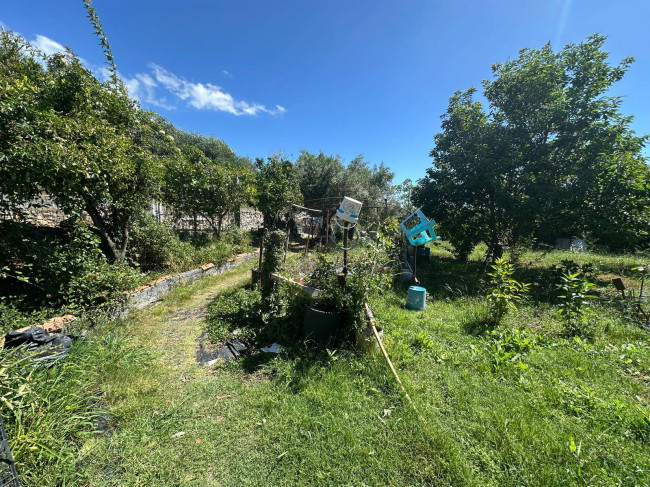 Terreno Agricolo in vendita a Albenga