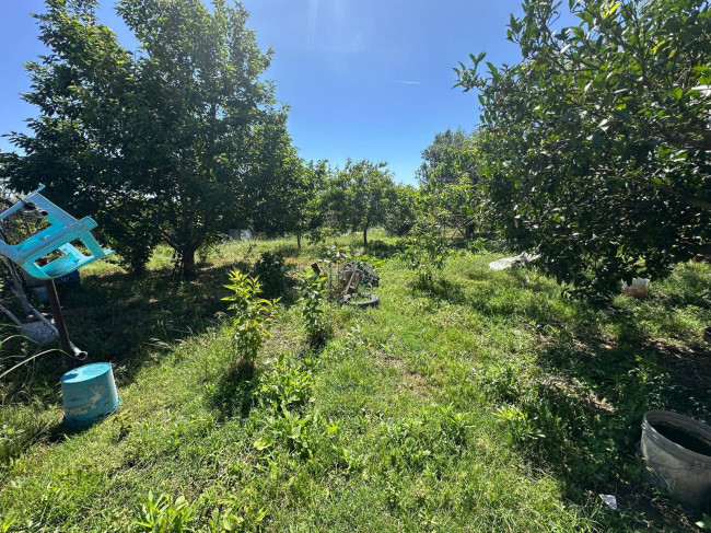 Terreno Agricolo in vendita a Albenga