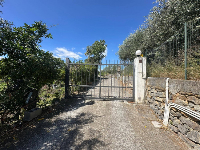 Terreno Agricolo in vendita a Albenga