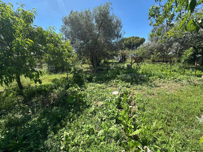 Terreno Agricolo in vendita a Albenga