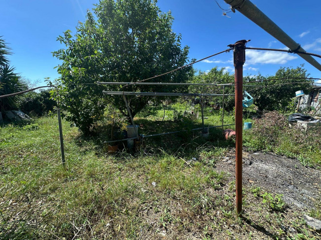 Terreno Agricolo in vendita a Albenga