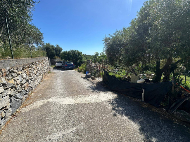 Terreno Agricolo in vendita a Albenga