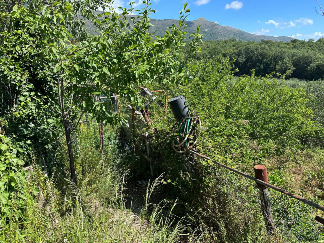 Terreno Agricolo in vendita a Albenga