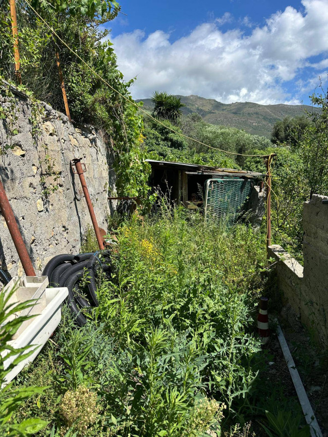 Terreno Agricolo in vendita a Albenga
