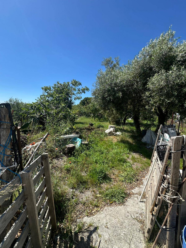 Terreno Agricolo in vendita a Albenga
