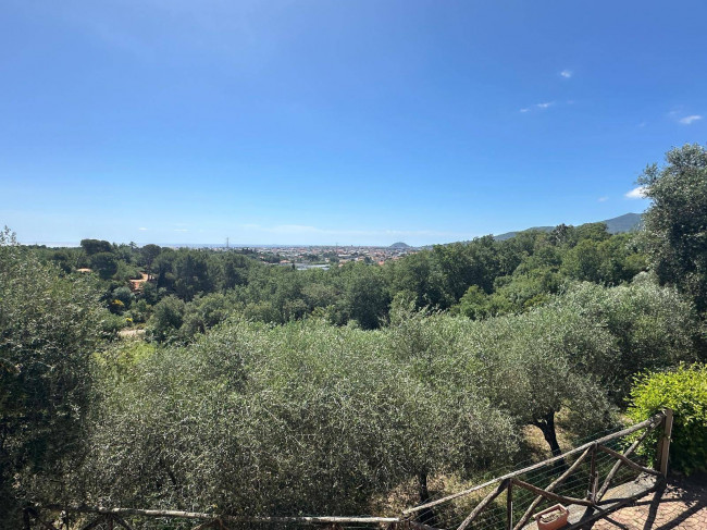 Terreno Agricolo in vendita a Albenga