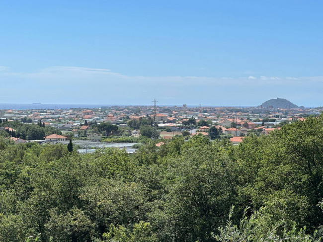 Terreno Agricolo in vendita a Albenga