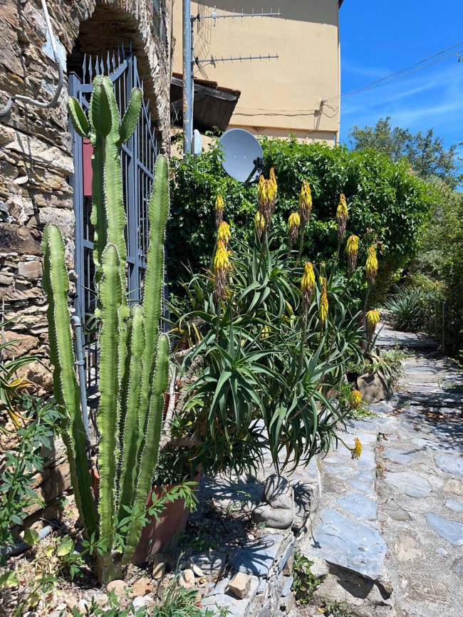 Rustico in vendita a Villanova d'Albenga