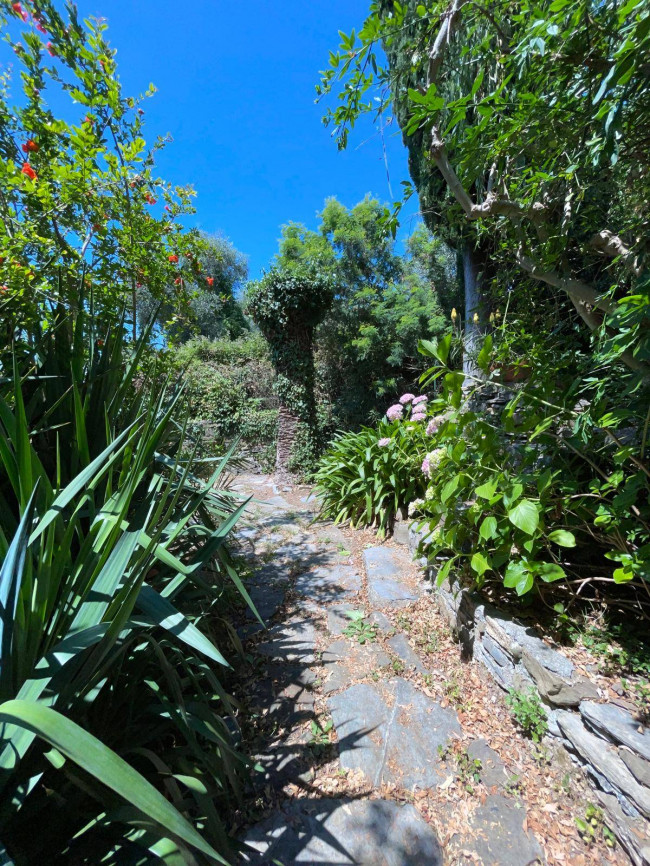 Rustico in vendita a Villanova d'Albenga