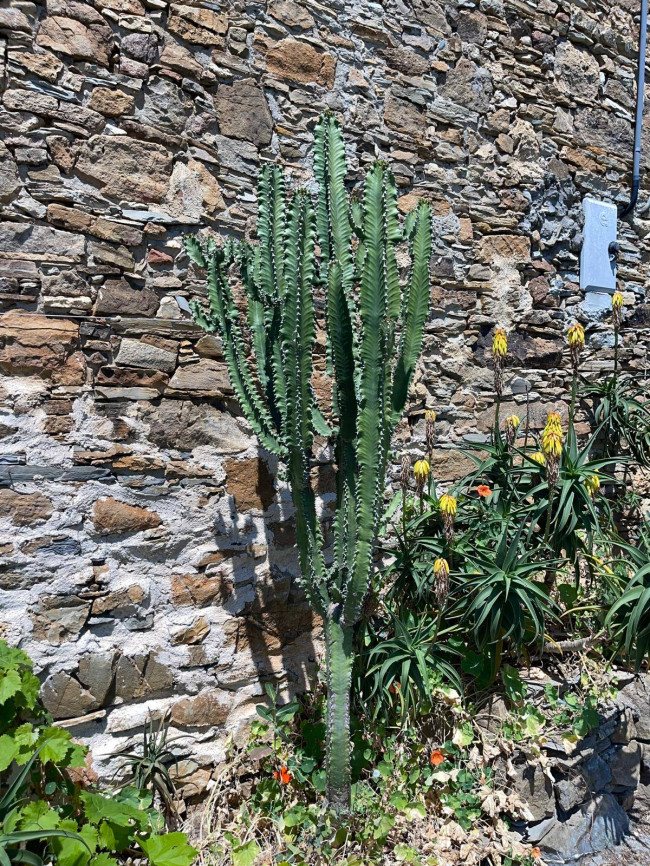 Rustico in vendita a Villanova d'Albenga