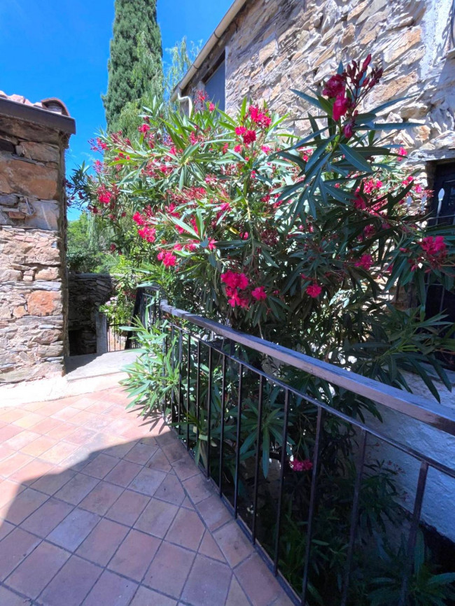 Rustico in vendita a Villanova d'Albenga