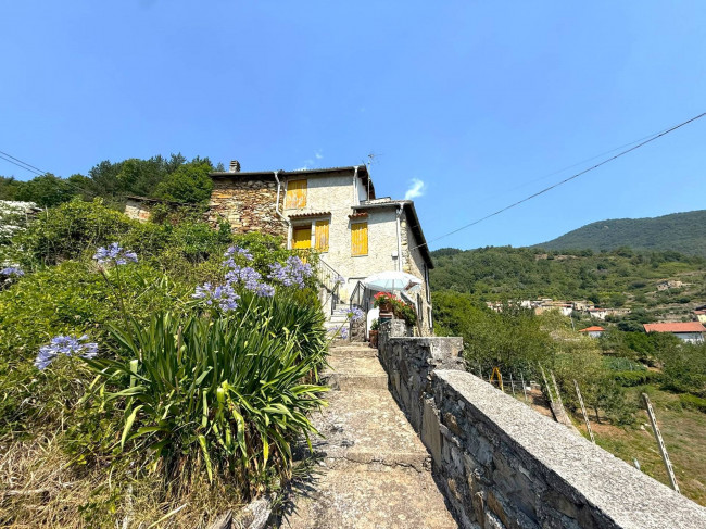 Rustic for sale in Rezzo
