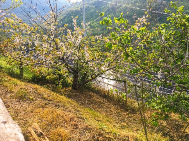 Rustic for sale in Erli
