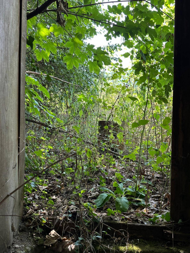 Porzione di Casa in vendita a Calizzano