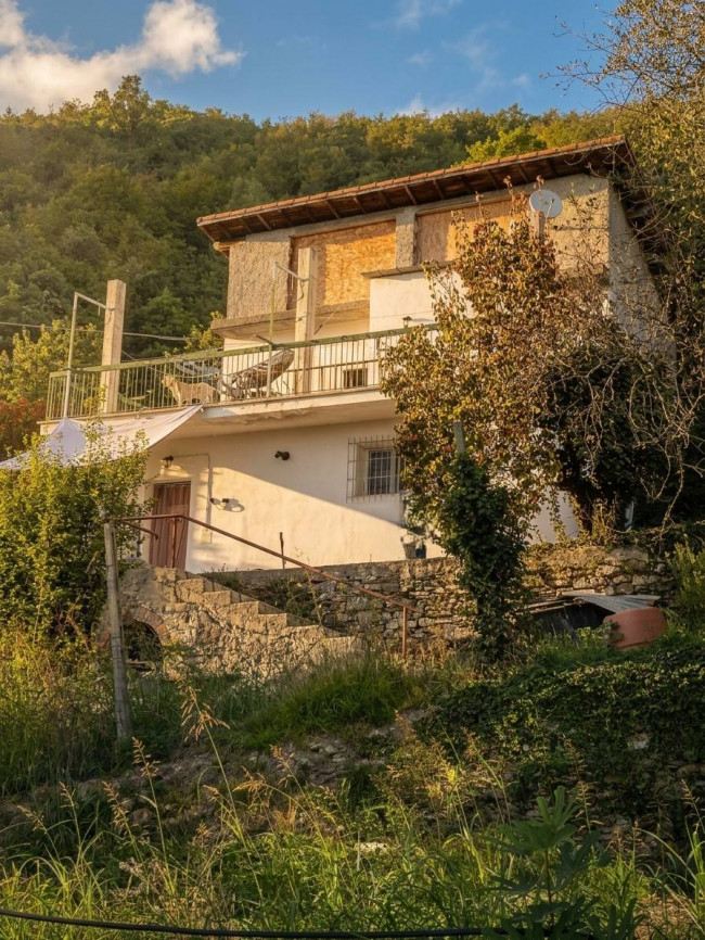 Casa singola in vendita a Pieve di Teco