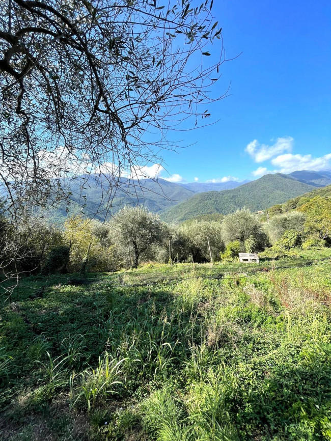Casa singola in vendita a Pieve di Teco