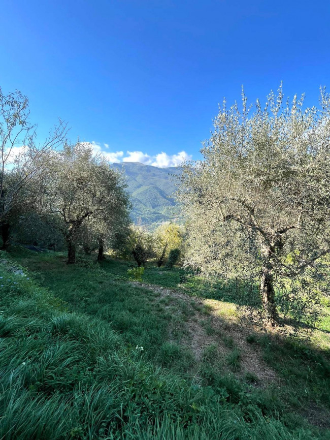 Casa singola in vendita a Pieve di Teco