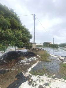 Terreno Agricolo in Vendita a Albenga