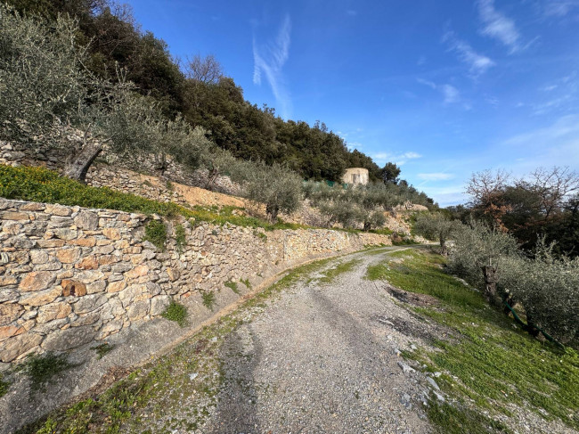 Terreno Agricolo in Vendita a Giustenice