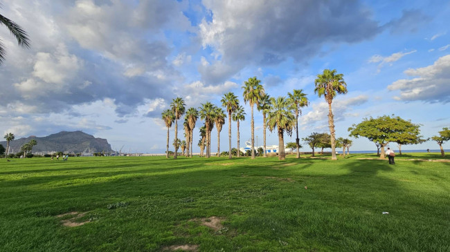 Appartamento in affitto a Palermo