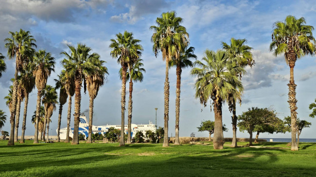 Appartamento in affitto a Palermo