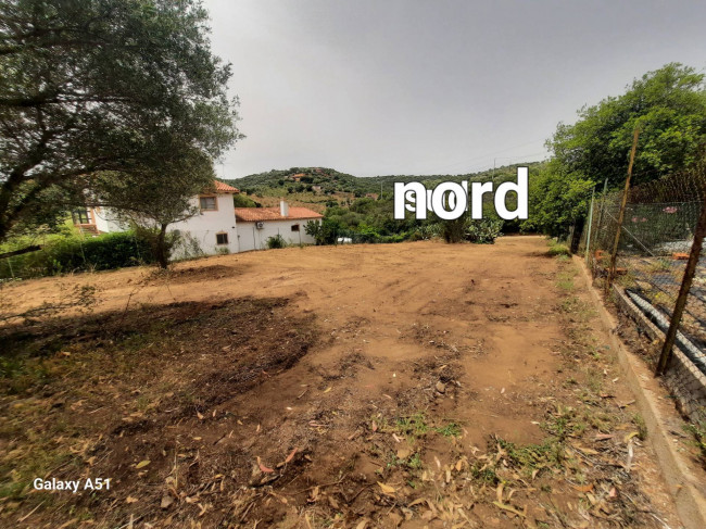 Terreno Agricolo in Vendita a Olbia