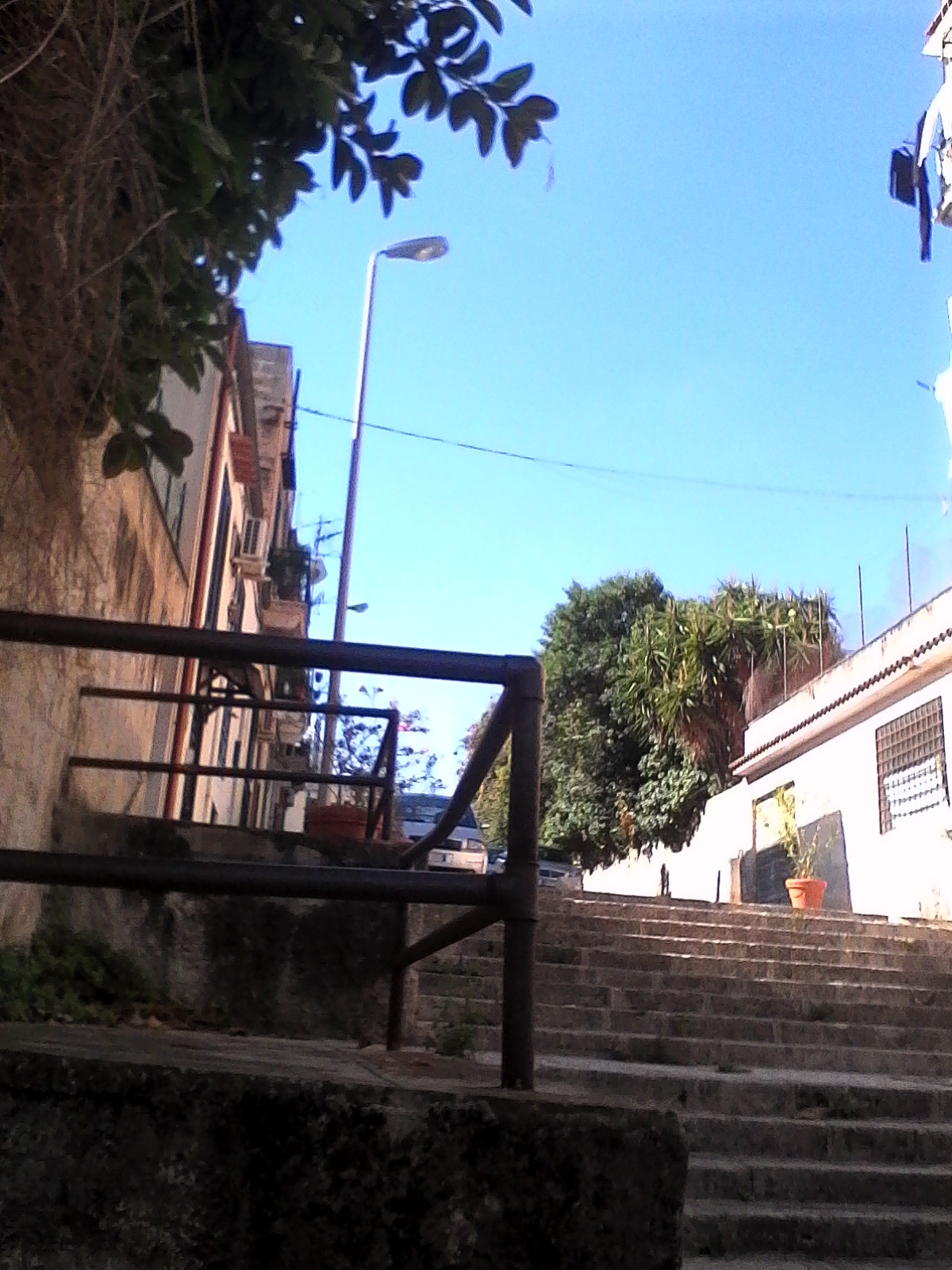 Appartamento PALERMO vendita    Locami Srl