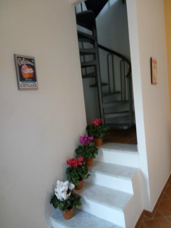 Appartamento PALERMO vendita  Centro storico  Locami Srl