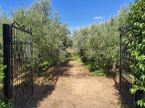 Terreno edificabile in vendita a Ladispoli (RM)