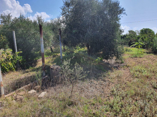 Terreno edificabile in vendita a Ladispoli (RM)