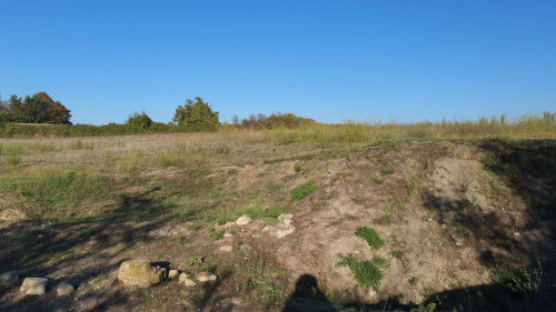 Terreno agricolo in vendita a Roma (RM)