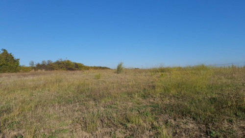 Terreno agricolo in vendita a Roma (RM)