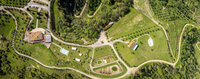 Tenuta in Vendita a Palaia