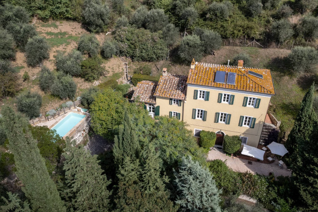 Villa for Sale in Massarosa