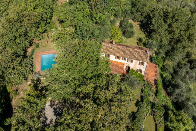 Rustico in Vendita a Lucca