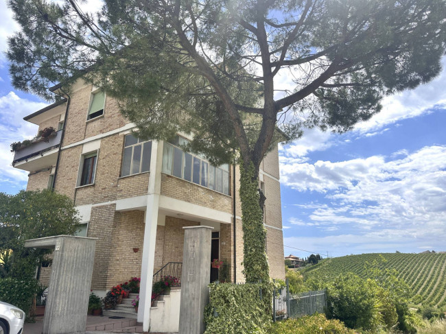 Appartamento in Vendita a Castel di Lama