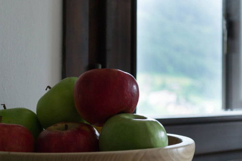 Appartamento in vendita a Moena