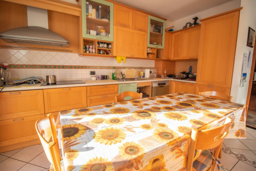 Appartamento in vendita a Moena