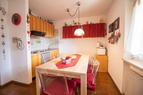 Appartamento in vendita a Moena