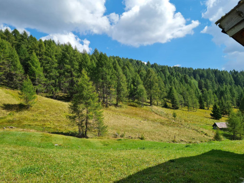 Rustico in vendita a Predazzo