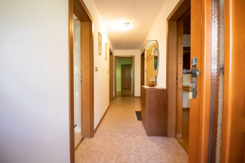 Appartamento in vendita a Moena